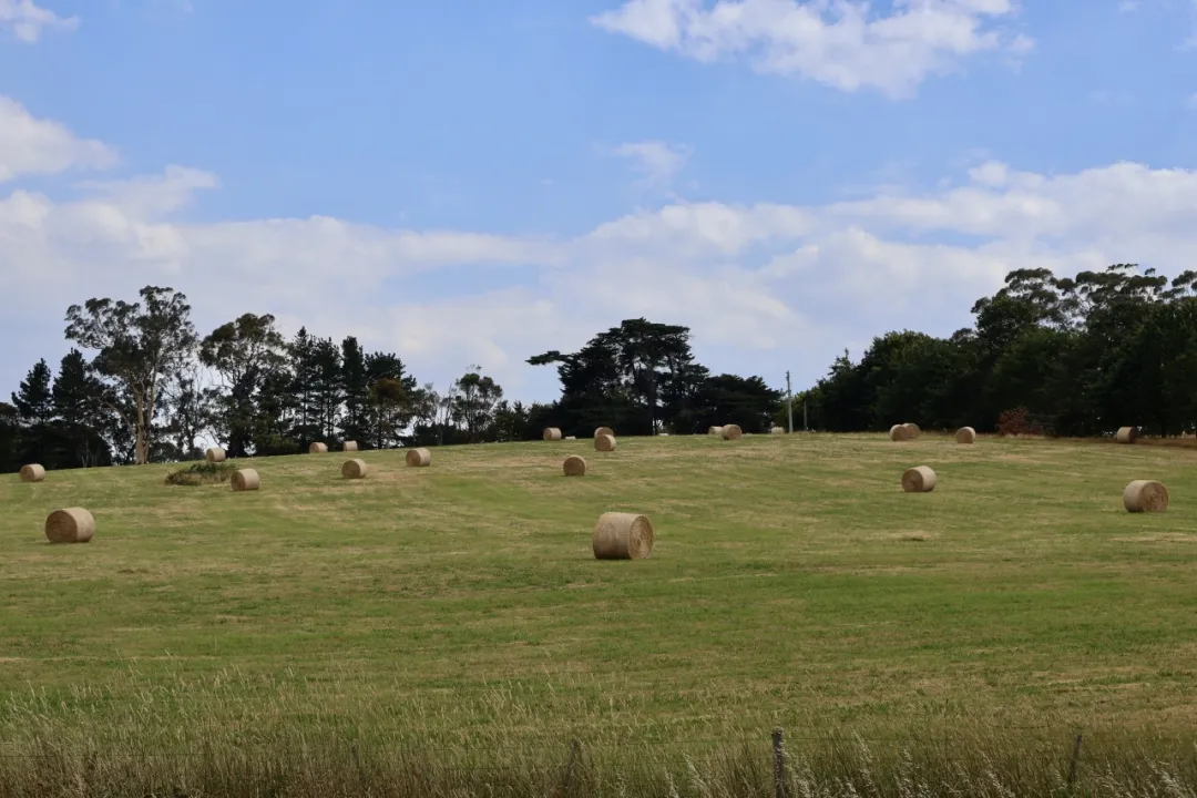 黄岩企业家协会力拓国际市场，寻求经济发展增长点