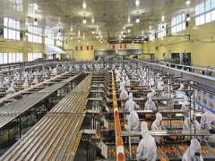 黄洪舸： 专注做好每一罐 十分天下有其一