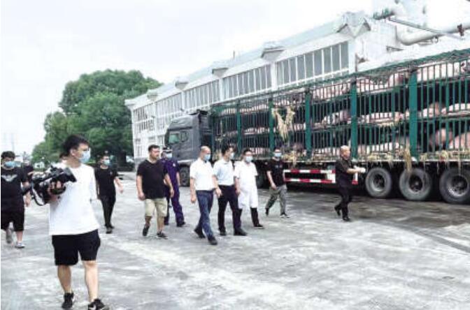 QQ截图20240906184231 QQ截图20240906184231